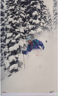 The ultimate tree skiing